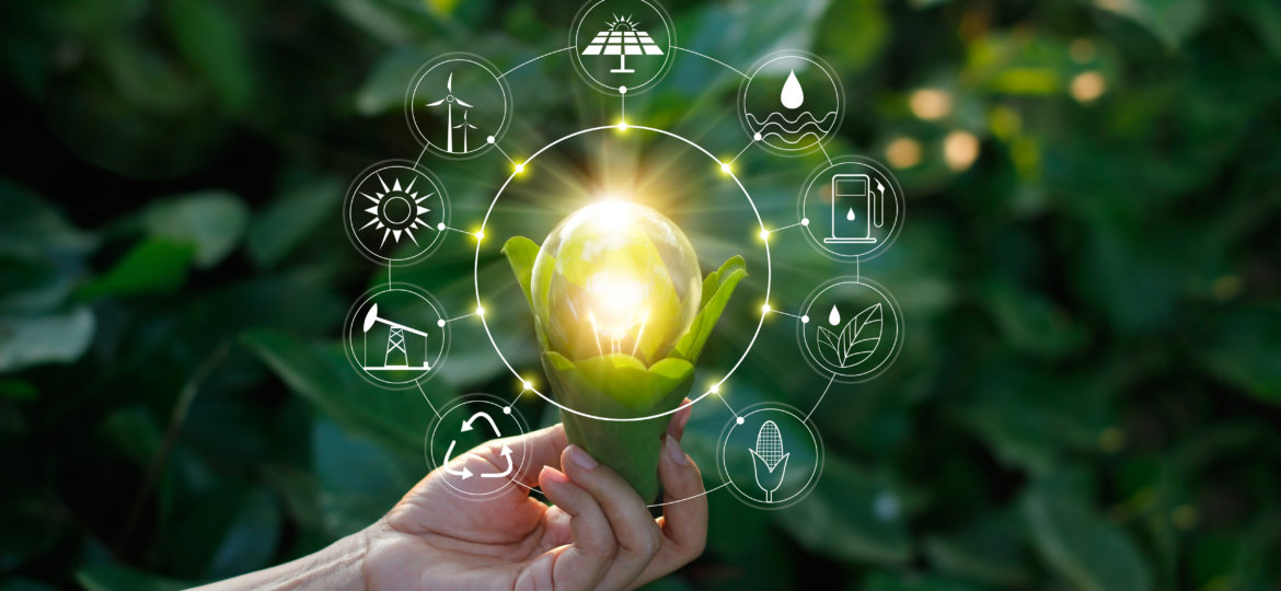 Hand holding light bulb against nature on green leaf with icons energy sources for renewable, sustainable development. Ecology concept. Elements of this image furnished by NASA.